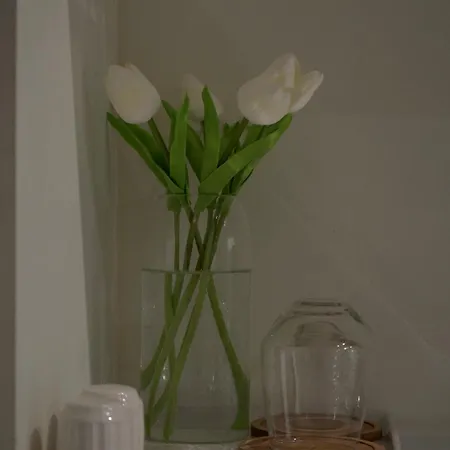 New Bazaar Azure * 티라나