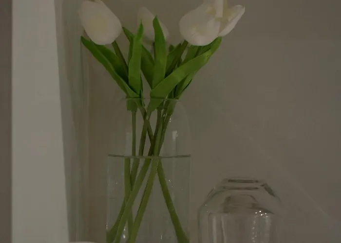 New Bazaar Azure * 티라나